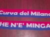 Curva del Milano 2010-11